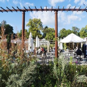 Dining in Stockholm 5