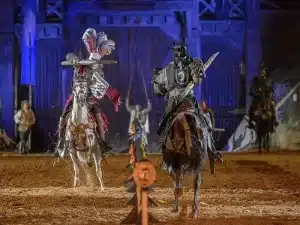 management conference